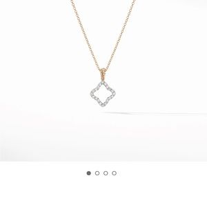 David yurman necklace